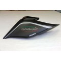 Carbonvani - Ducati Panigale / Streetfighter V4 / S / R / Speciale Carbon Fiber Tail - "R" Road Version